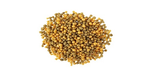 Osmocote  Agro Chemical Packaging Machines